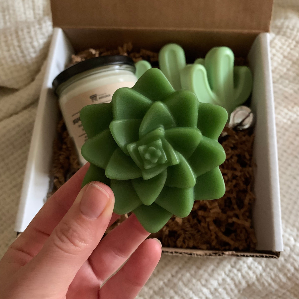 Succulent Gift Box: Candles, Soap & More – When In Aroma