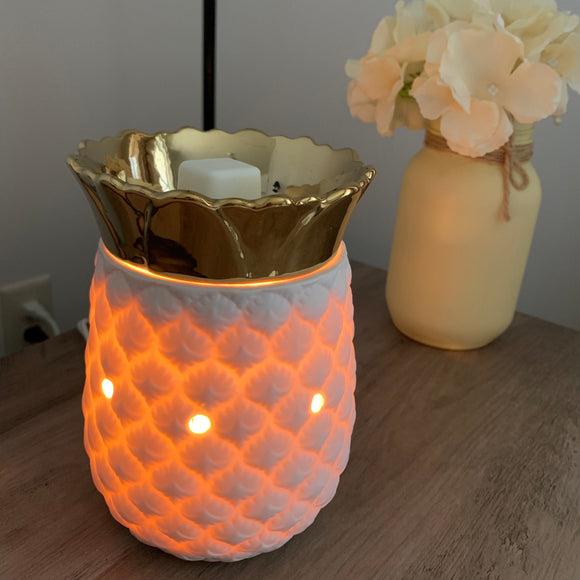 Essenza Scented Wax Warmer with 4 Different Wax Scents Included (Vanilla  Spice / Cypress Pomegranate / Amberwood Aspen / Olive Avocado)