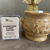 Clementine & Mint Leaves Soy Wax Melt