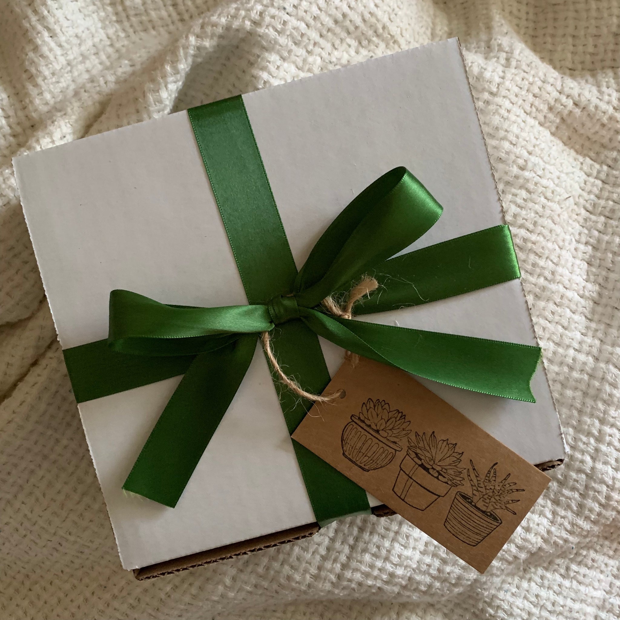 Succulent Gift Box: Candles, Soap & More – When In Aroma