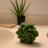 Succulent Shaped Aloe Soap